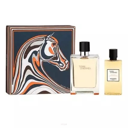 Hermes Terre D'Hermes Woda Toaletowa 100ml & Shower Gel 80ml ZESTAW