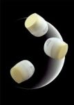 Sensai Absolutes Seiden -Illuminatives Sahne Gesicht Feuchtigkeitsfeuchtigkeitscreme 40 ml - 5