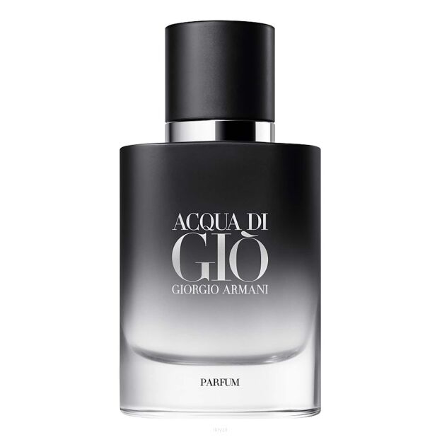 Giorgio Armani Acqua di gio pour homme parfum 100ml