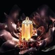 Thierry Mugler Alien Göttin Eau de Parfum 30ml - 2