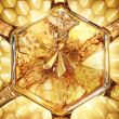 Guerlain ABEILE ROYALE HONEY THEMAGE SCREM für Tagescreme 50 ml - 4