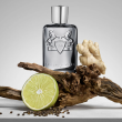 Parfums De Marly Castley Woda Perfumowana 75ml - 3