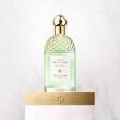 Guerlain Aqua Allegoria Rosa Verde Woda Toaletowa 75ml - 2