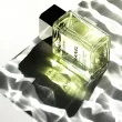 Chanel Platinum Egoiste eau de toptionelette 100ml - 2
