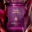 Guerlain Absolus Allegoria Tabac Sahara Woda Perfumowana 75ml - 3