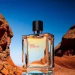 Hermes terre d'hermes eau de toptionelette 100ml - 2