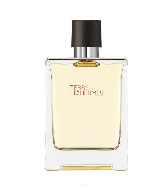 Hermes terre d'hermes eau de toptionelette 100ml
