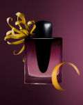 Shiseido Ginza Datura Eau de Parfum 50 ml - 3