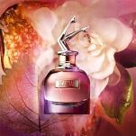 Jean Paul Gaultier Scandal Woda Perfumowana 80ml & Woda Perfumowana 20ml ZESTAW - 3