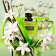 Valentino Donna geboren in Roma Green Strawaganza Eau de Parfum 30ml - 3