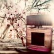 Tom Ford Café Rose Eau de Parfum 50 ml - 2